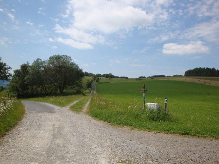 Wir gehen leicht rechts auf den Feldberg