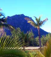 Mauritius Urlaub - Palmen, Berge, Meer