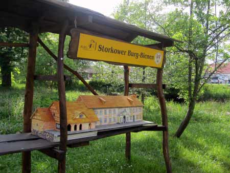 Burg-Bienen