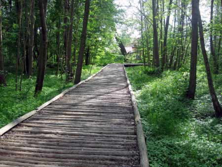 Naturschutzgebiet am Storkower See