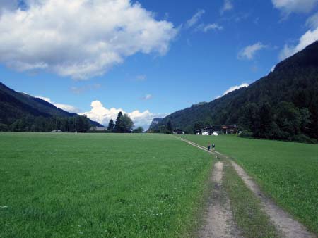 Wiesenweg nach Berg