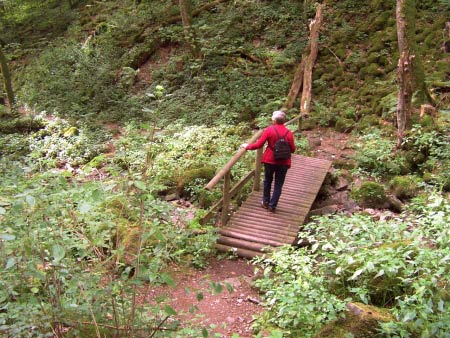 Brücke Wanderweg Eifel