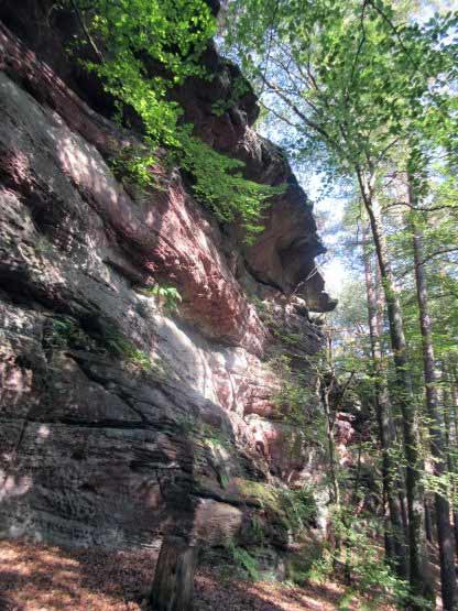 Büttelfelsen von hinten