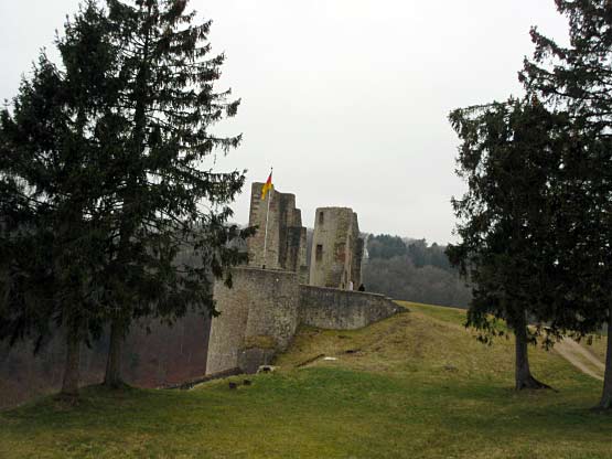 Burgruine von oben