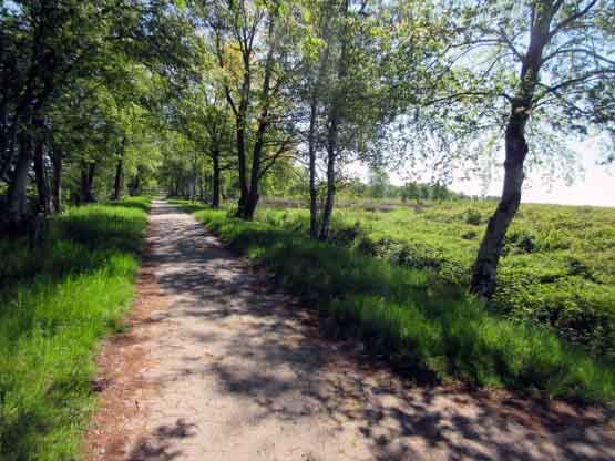 Wanderweg Ewiges Meer