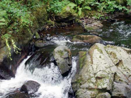 Flussbett Kleiner Kyll