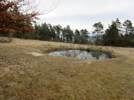 Wasserlöcher im NSG