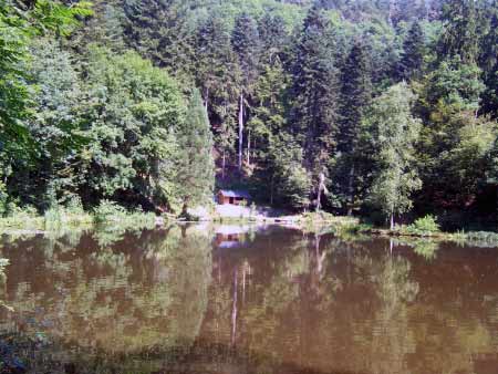 Grillhütte See Manderscheid