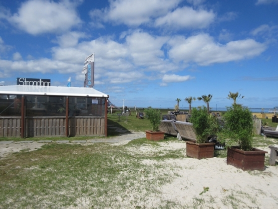 Eine Strandbar mit Palmen erzeugt südliches Flair.