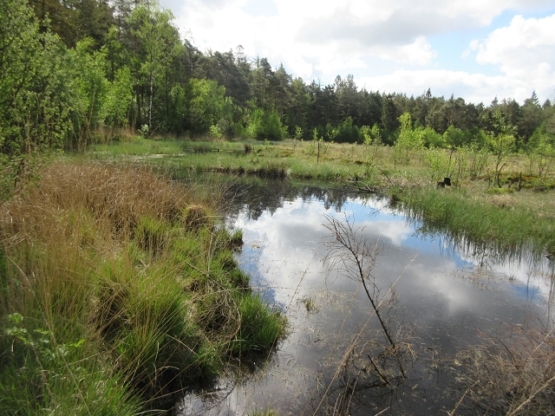 Hohenhahner Moorsee