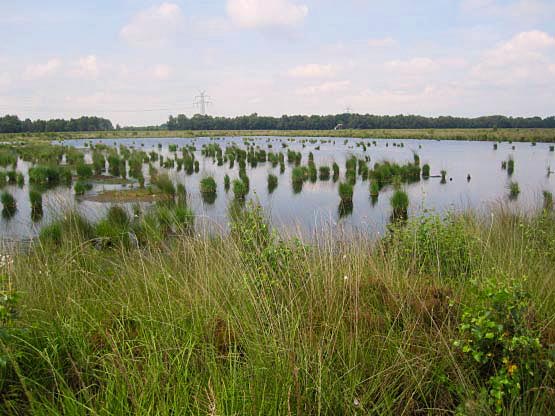 Lengener Moor