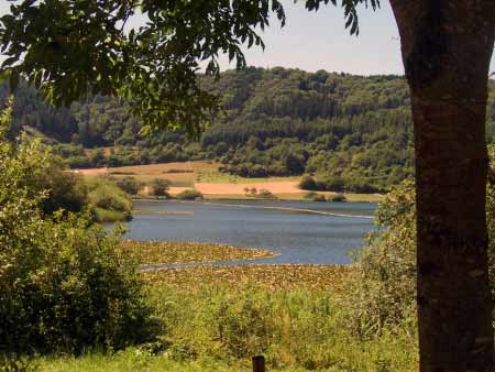 Maar-Meerfeld-Eifel