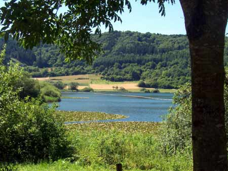 Maar-Meerfeld-Eifel