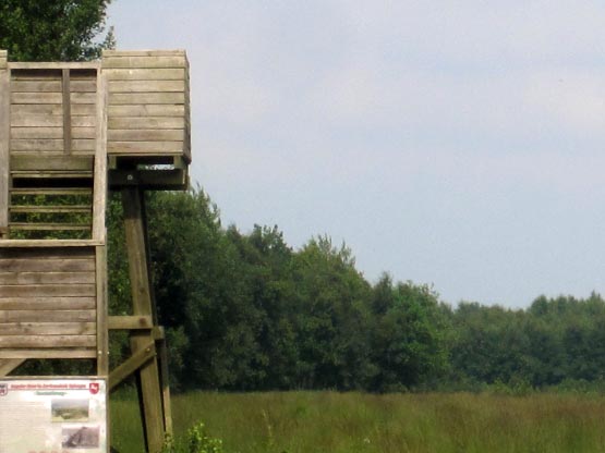 Aussichtsturm aus Holz