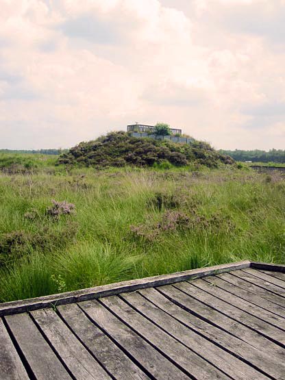 Blick von der Bank auf den Hügel