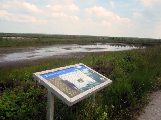 Schautafeln beschreiben das Moor