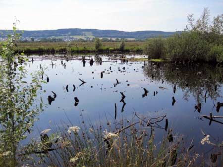 Moorsee Lübbecke