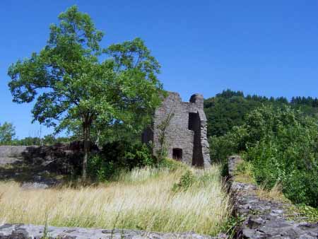 Ruine Oberburg