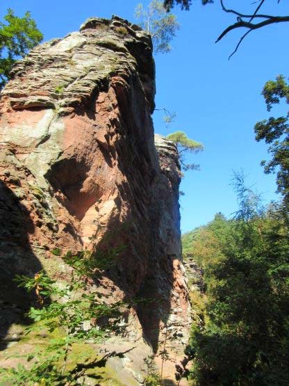 Trifels-Berggrat