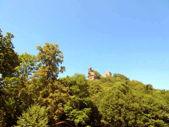 Blick auf den Trifels