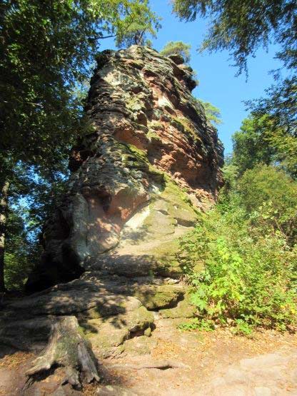 Felsen zwischen den Trifelsburgen