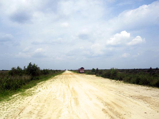 Wanderweg, Sandweg ins Westermoor