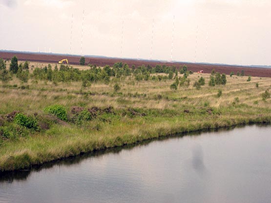 Torfabbau am Horizont