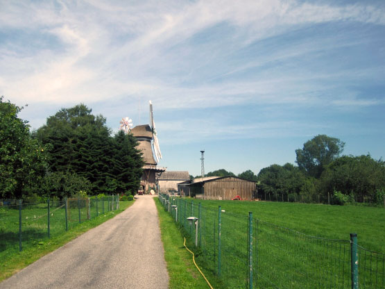 Windmühle in Leer-Logabirum